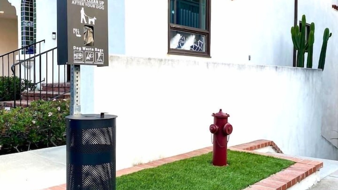 Photo of Others in San Clemente