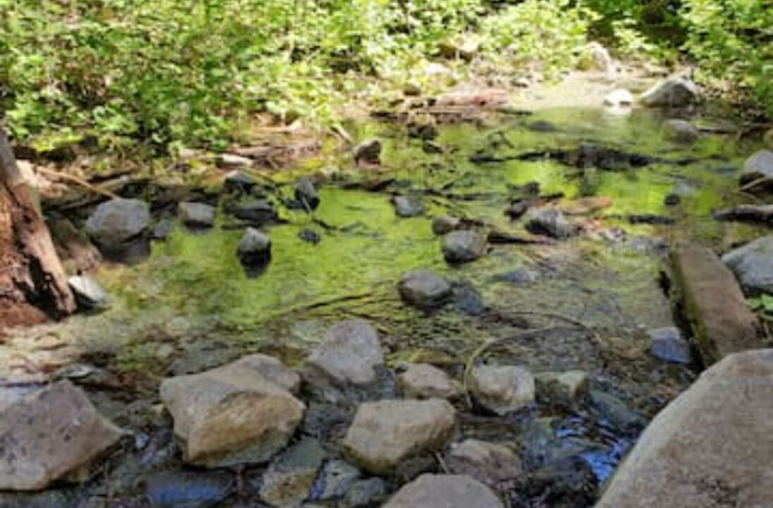 Photo of Outdoor in Pine Mountain Club