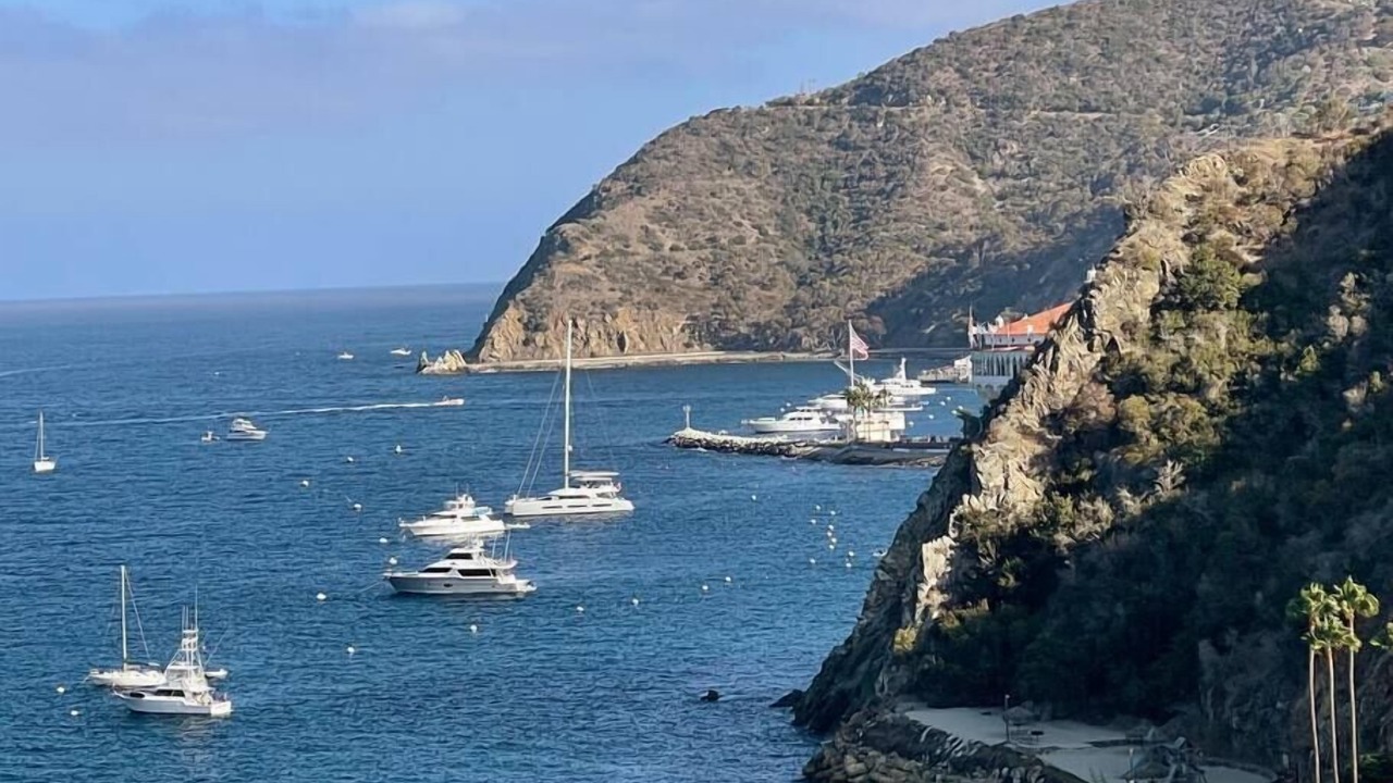 Photo of Others in Avalon