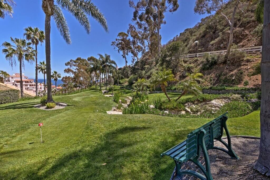 Photo of Others in Avalon