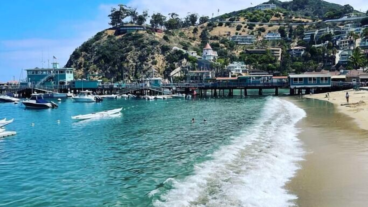Photo of Others in Avalon