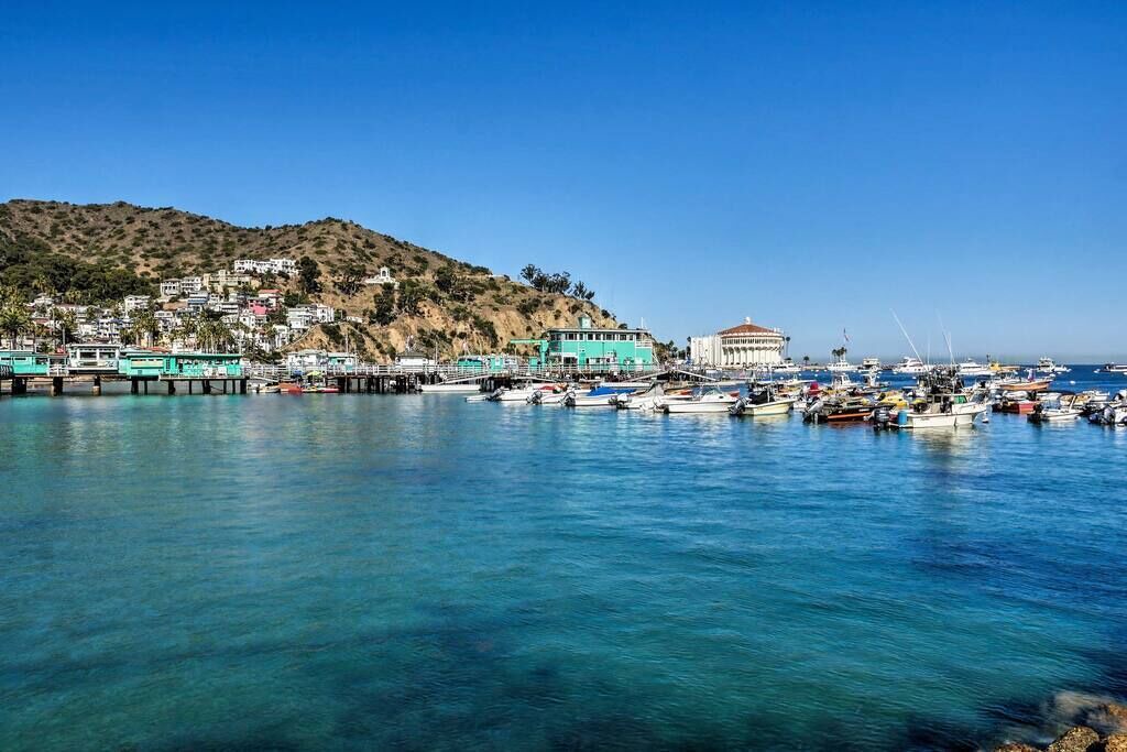 Photo of Others in Avalon