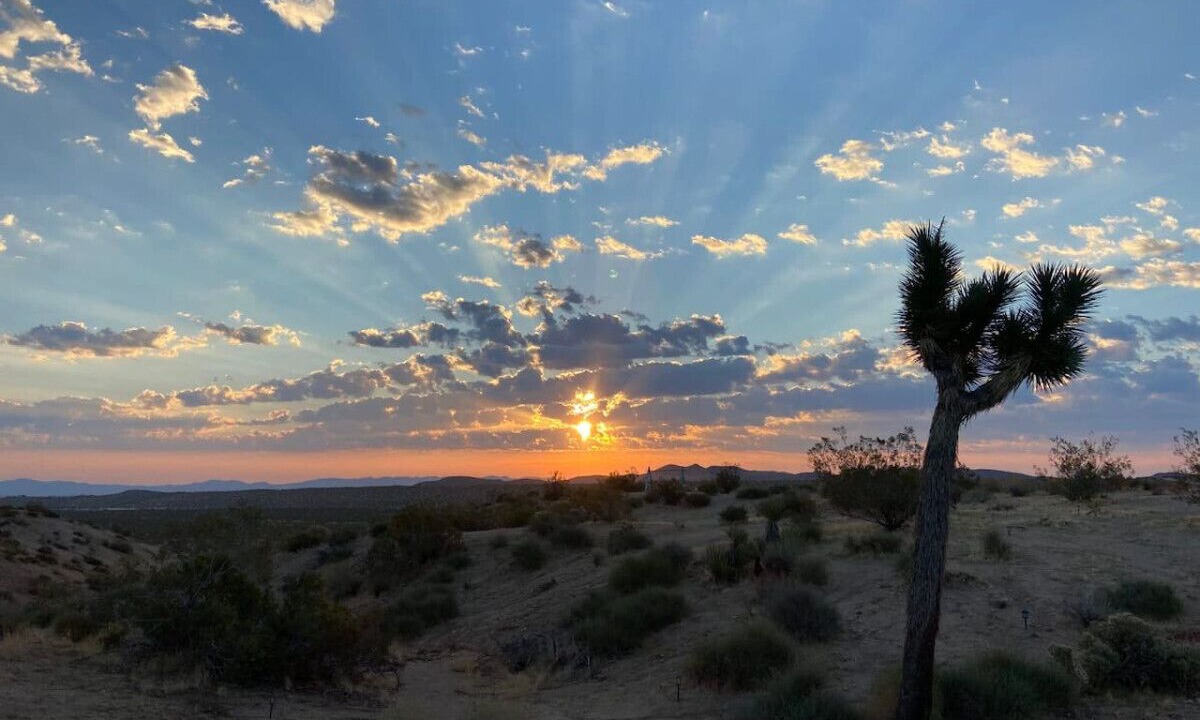 Photo of Others in Yucca Valley