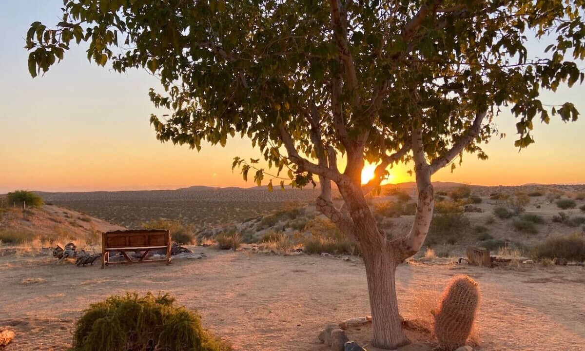 Photo of Others in Yucca Valley