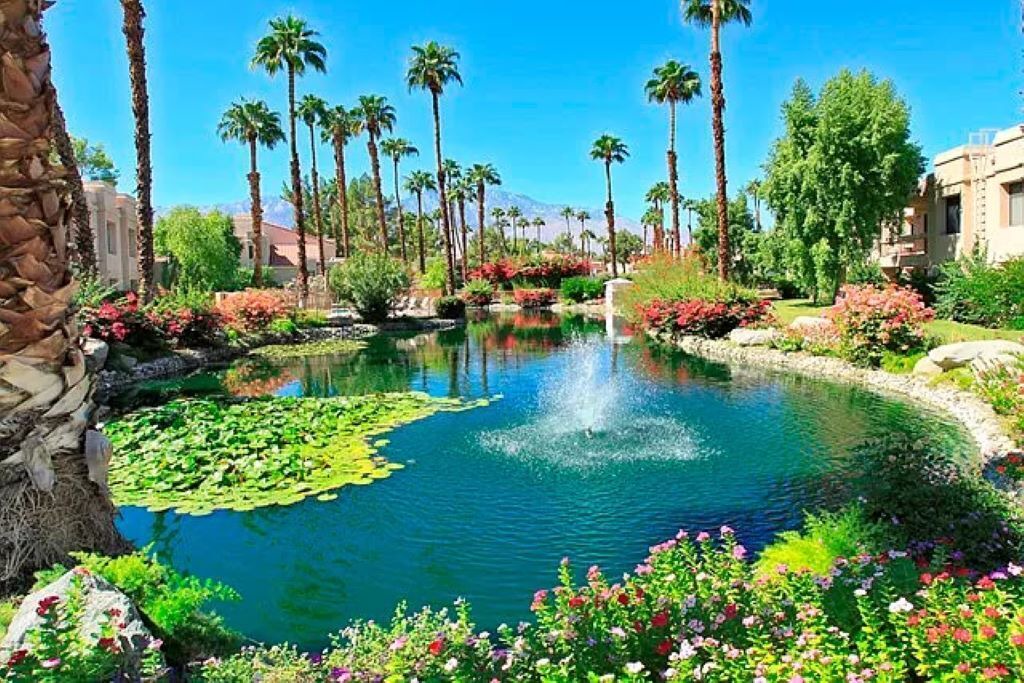 Photo of Outdoor in Cathedral City