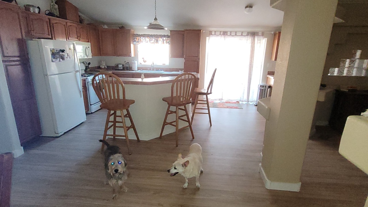 Photo of Others in Holiday Shores