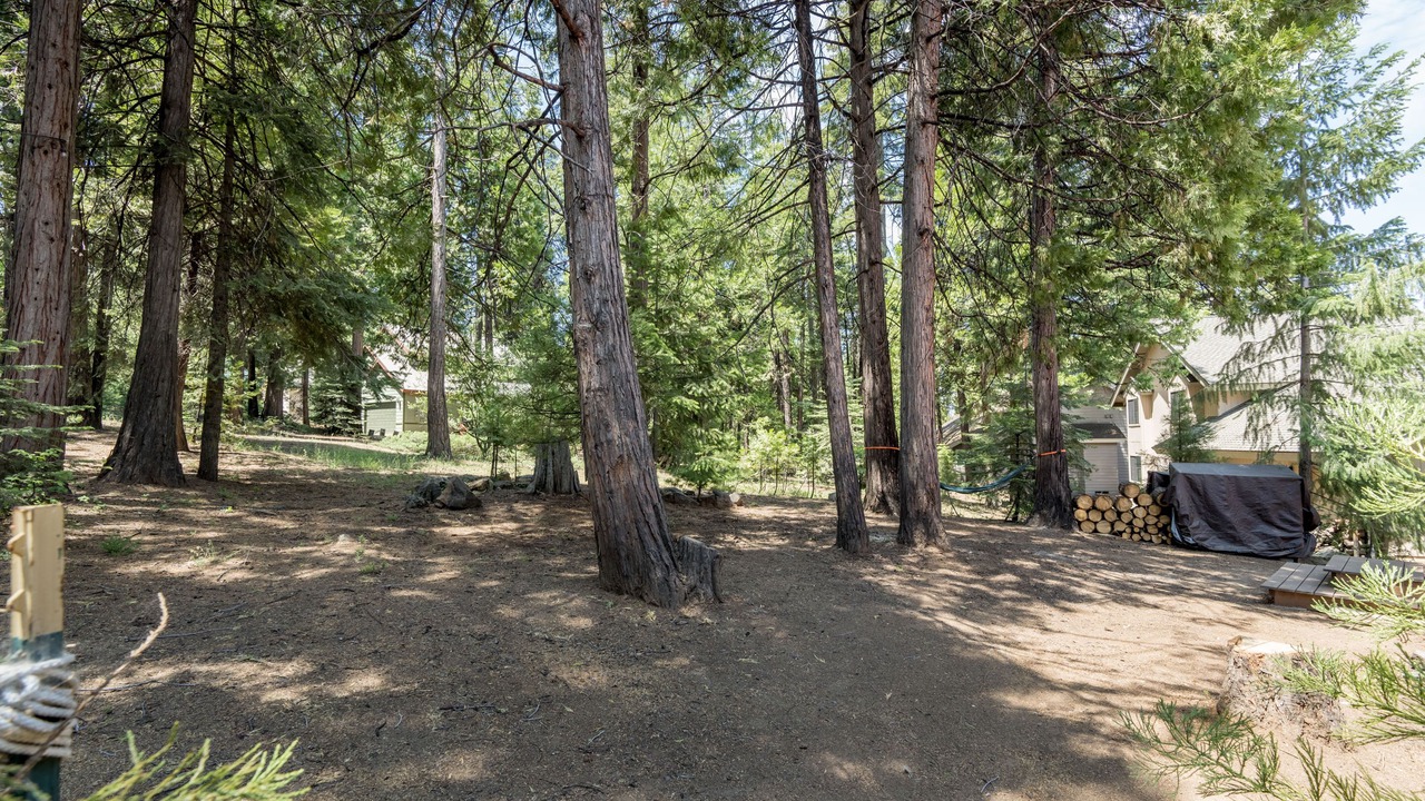Photo of Outdoor in Shaver Lake