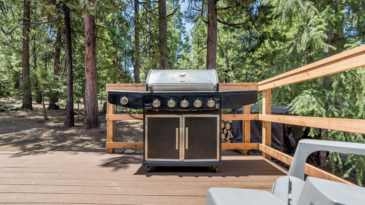 Photo of Outdoor in Shaver Lake