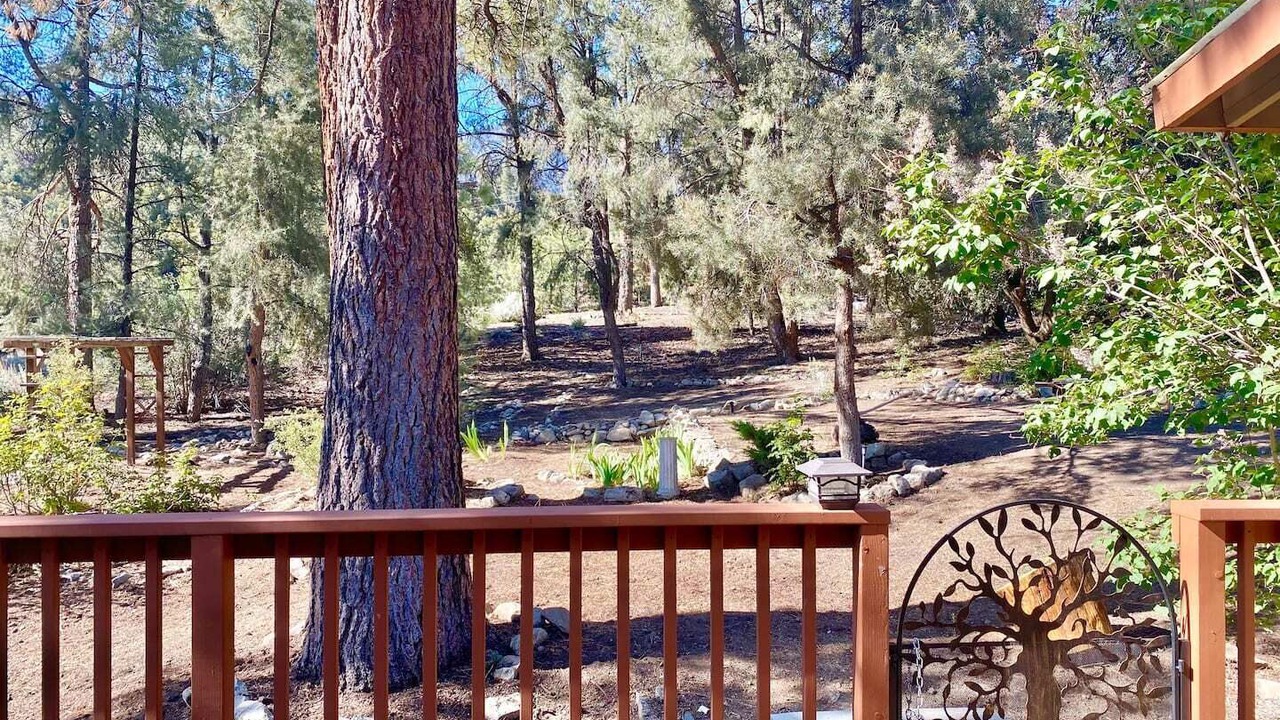 Photo of Outdoor in Pine Mountain Club
