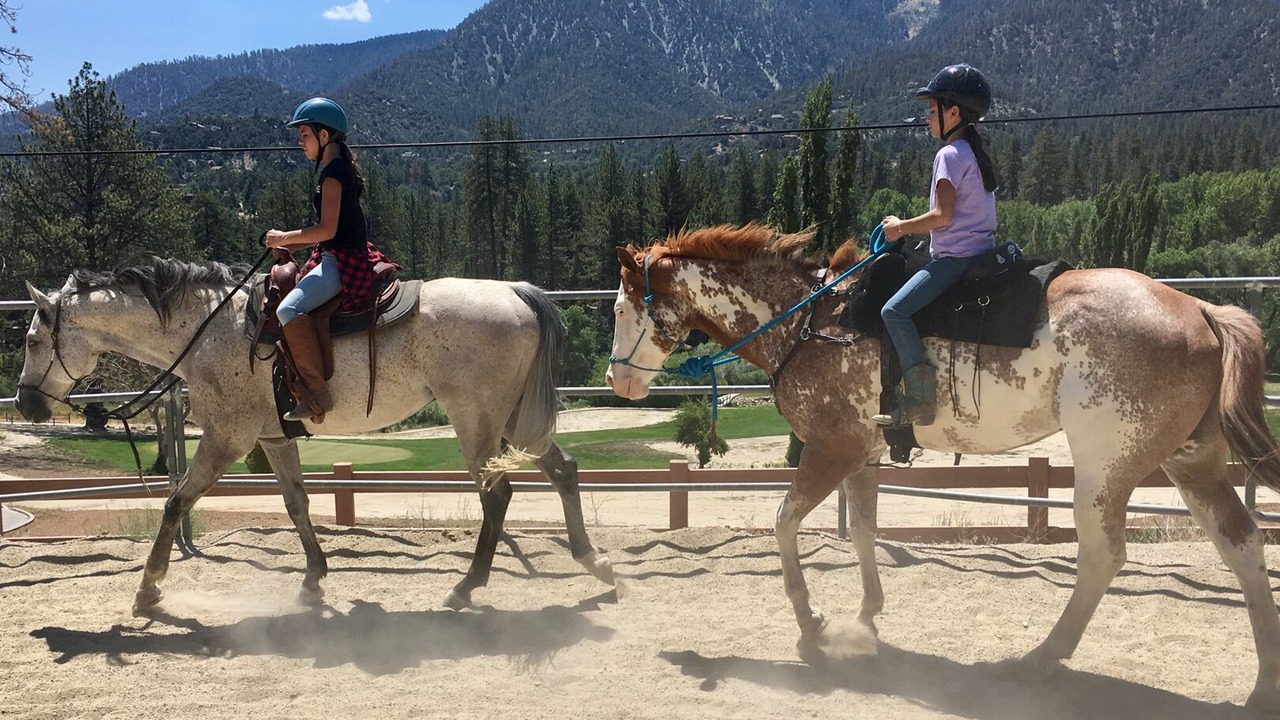 Photo of Others in Pine Mountain Club
