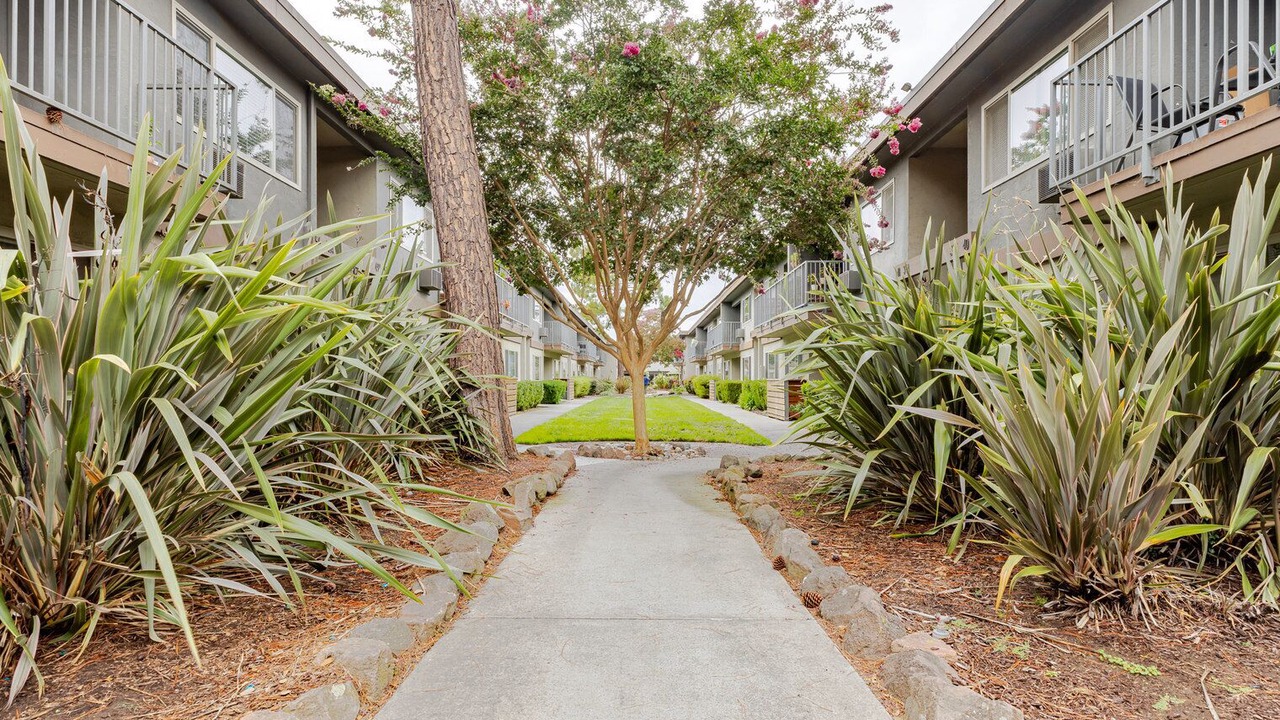 Photo of Outdoor in Mountain View