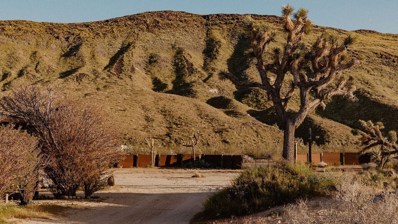 Photo of Others in Yucca Valley