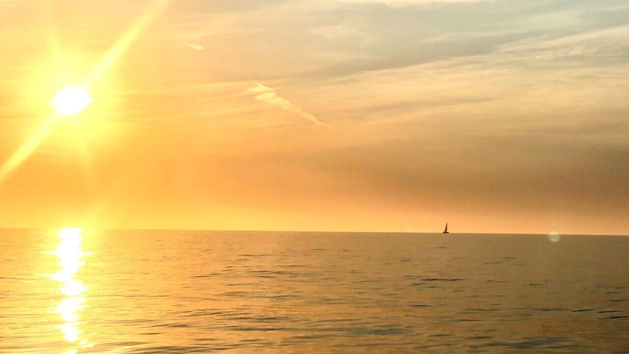 Photo of Others in Avalon