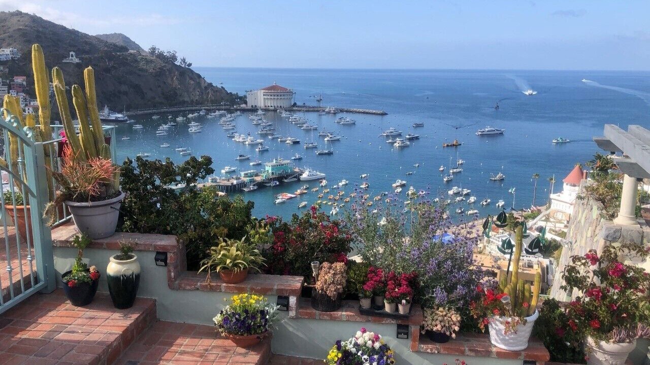 Photo of Patio Balcony in Avalon