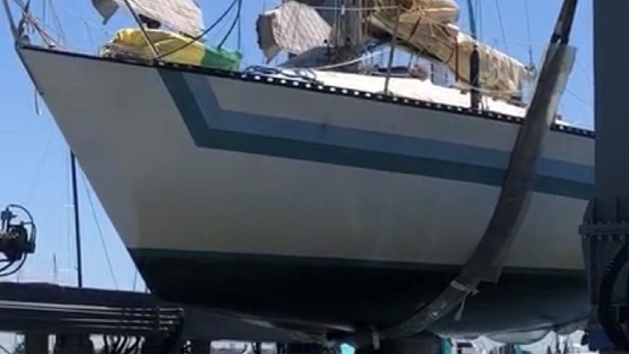 Photo of Others in Avalon