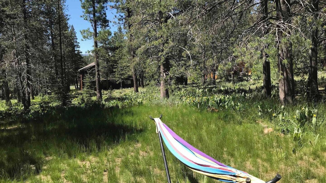 Photo of Others in Truckee