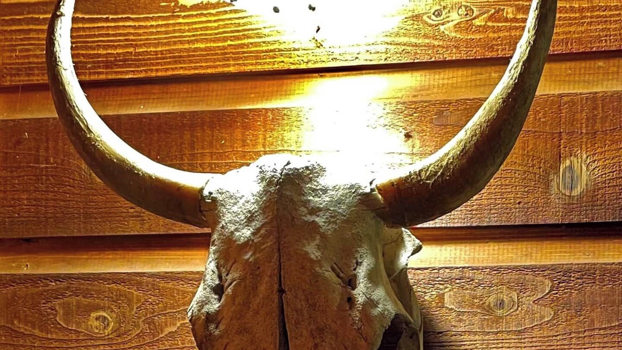 Photo of Others in Truckee