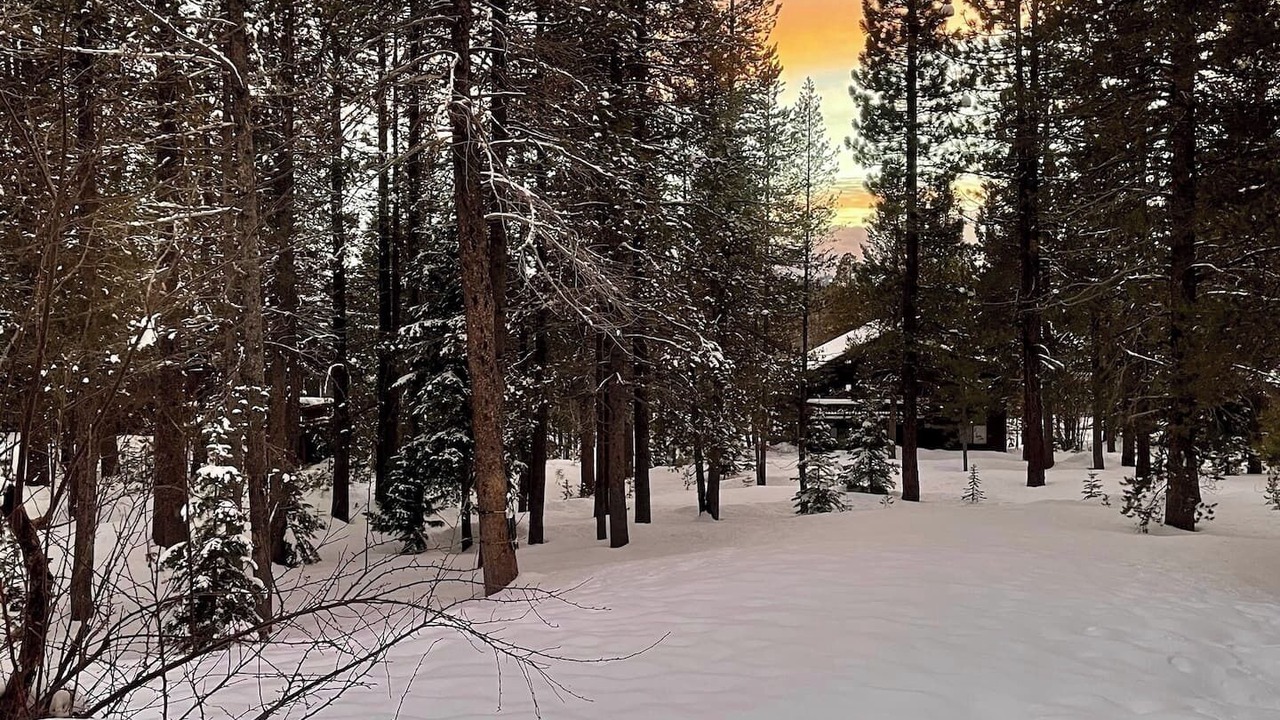 Photo of Others in Truckee