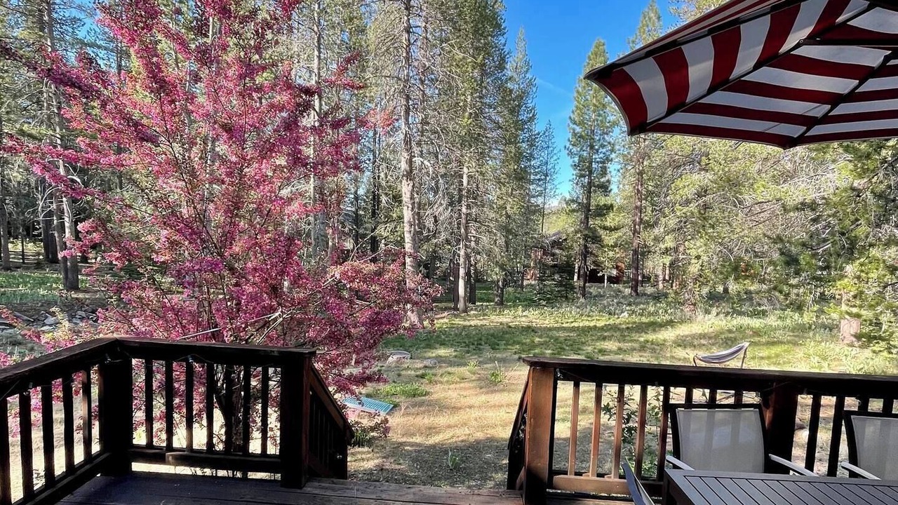 Photo of Others in Truckee