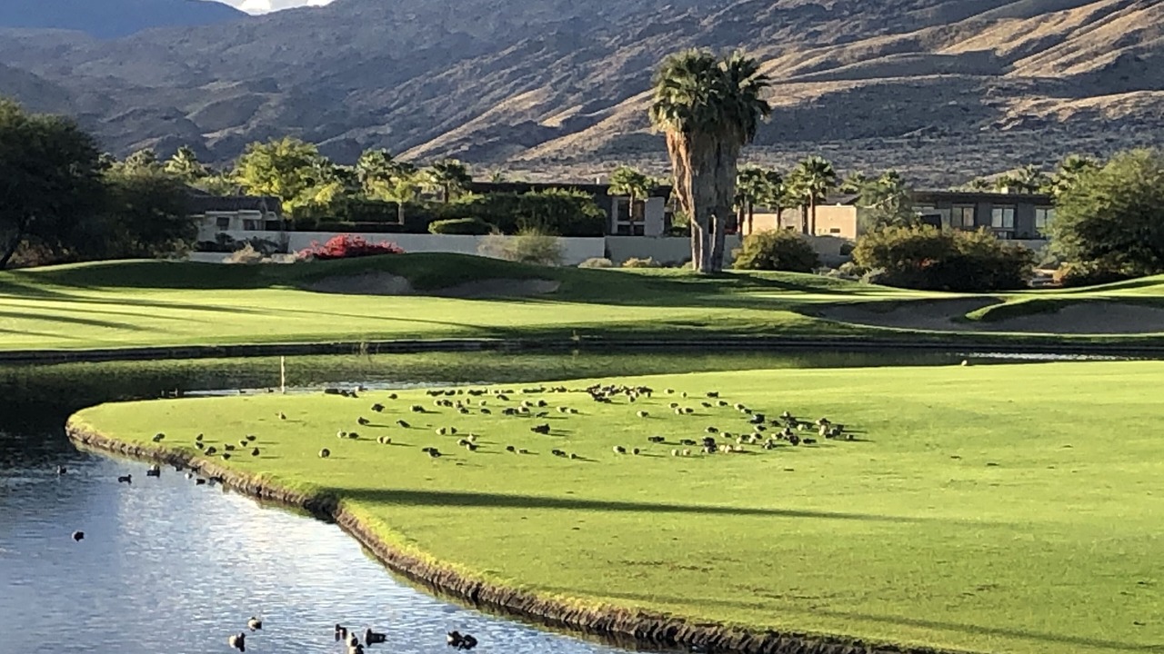 Photo of Others in Indian Canyon