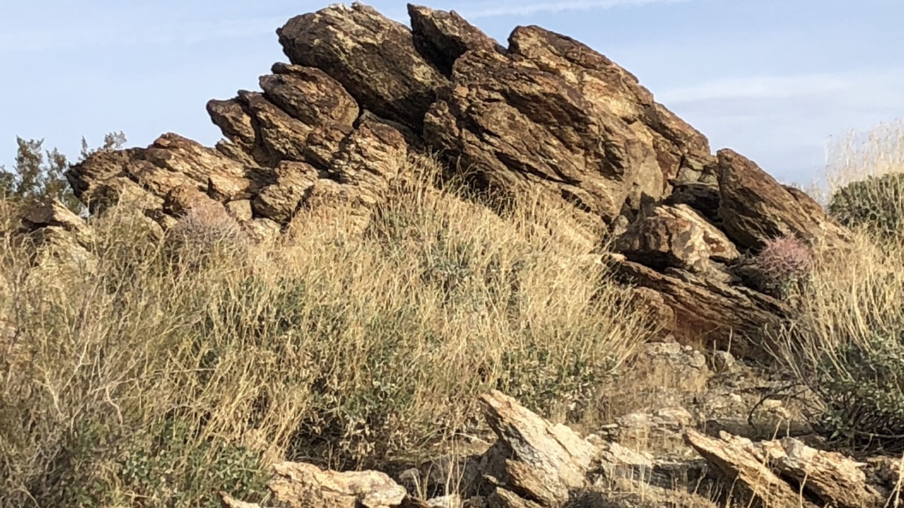 Photo of Others in Indian Canyon