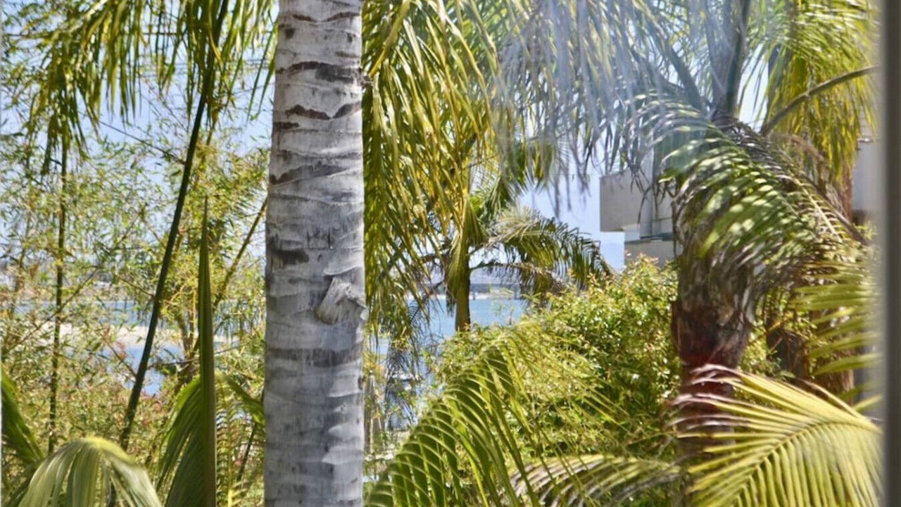 Photo of Others in Mission Beach