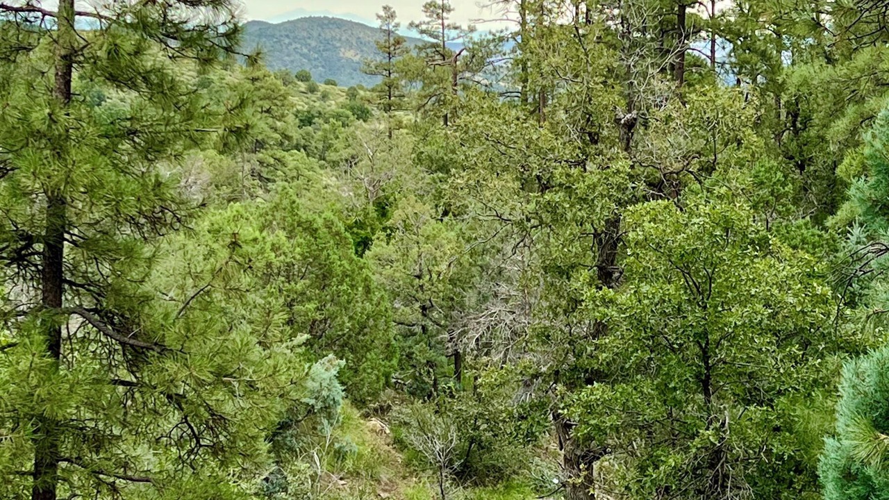 Photo of Others in Highland Pines