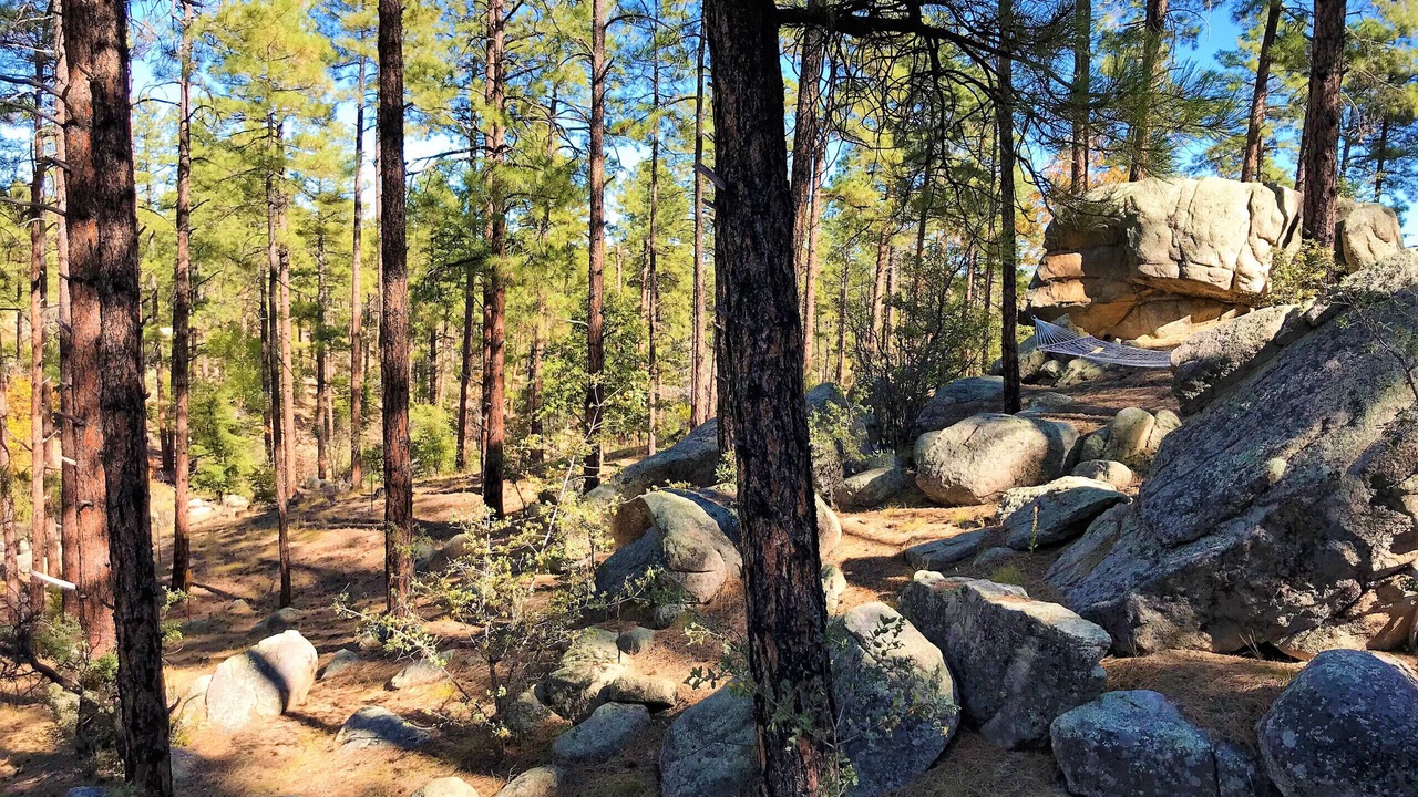 Photo of Others in Highland Pines