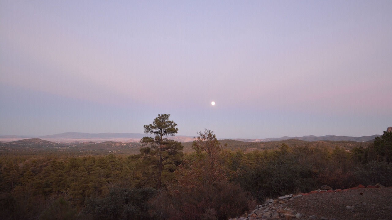 Photo of Others in Highland Pines