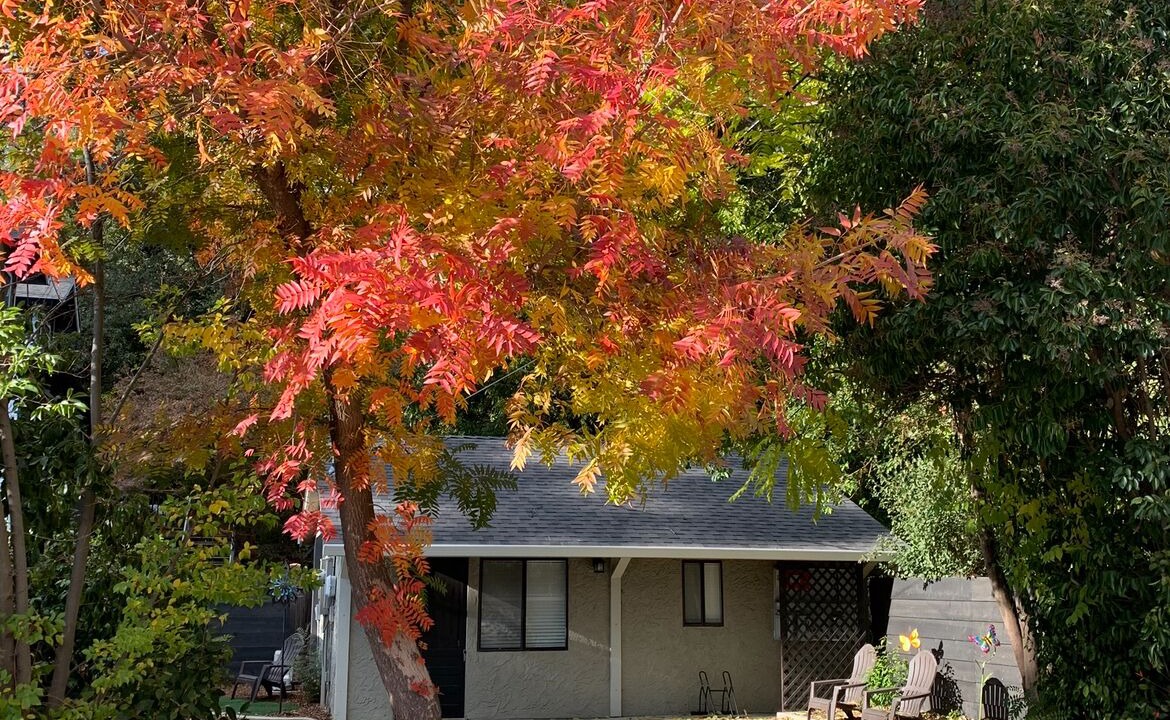 Photo of Outdoor in Chico