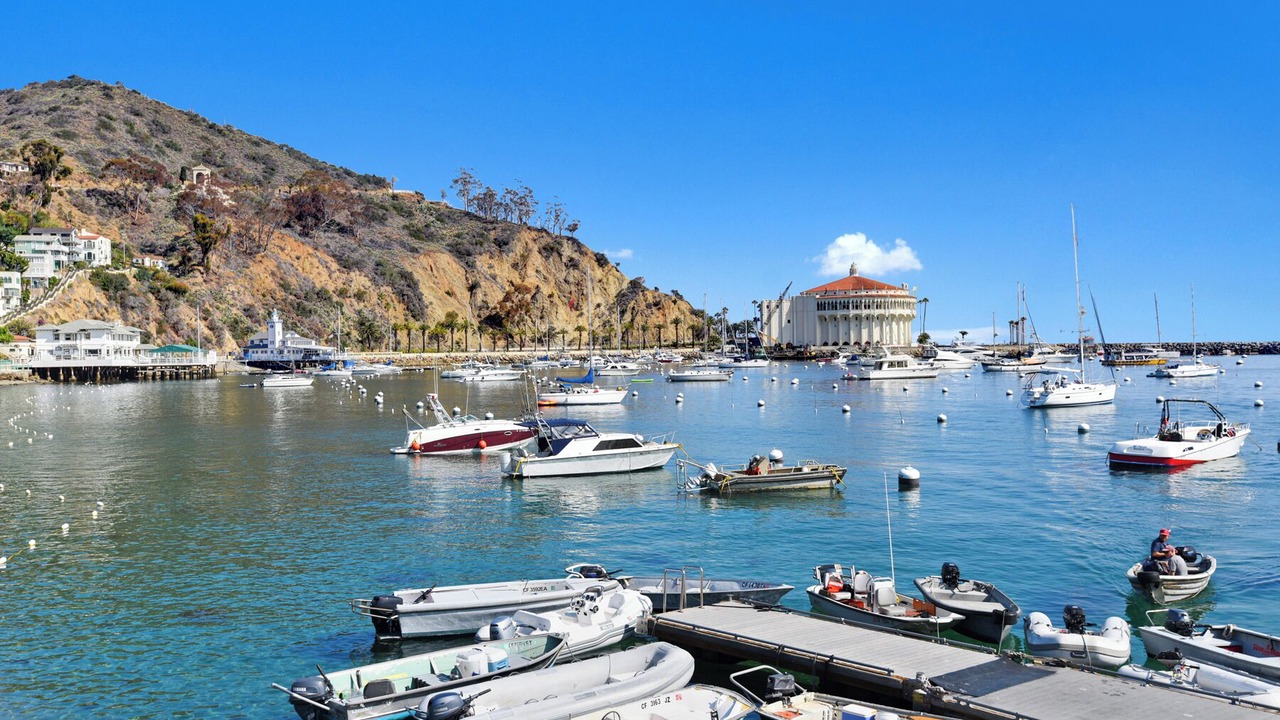 Photo of Others in Avalon