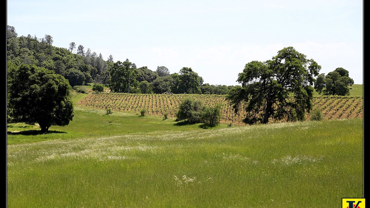 Photo of Others in Shenandoah Valley