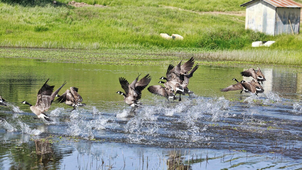Photo of Others in Shenandoah Valley
