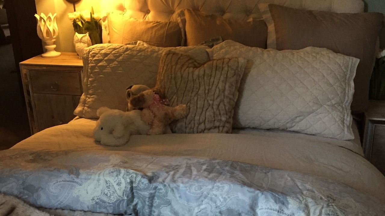 Photo of Bedroom in Petaluma