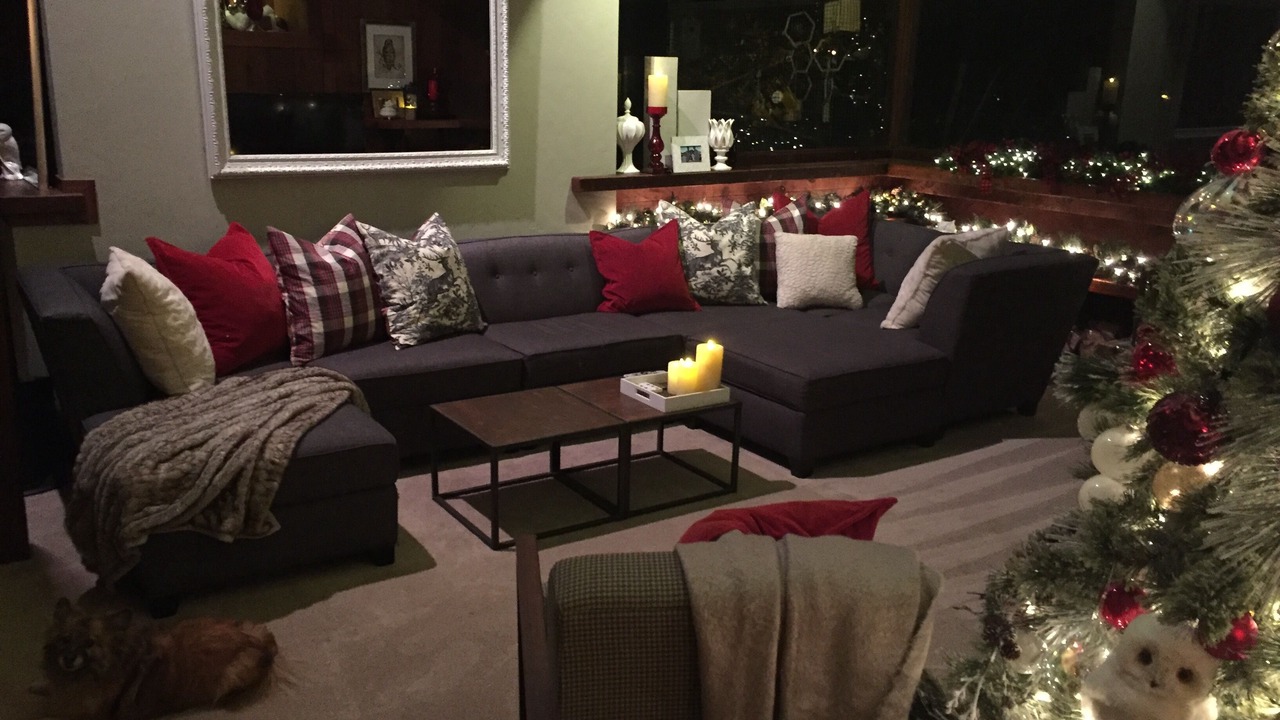 Photo of Livingroom in Petaluma