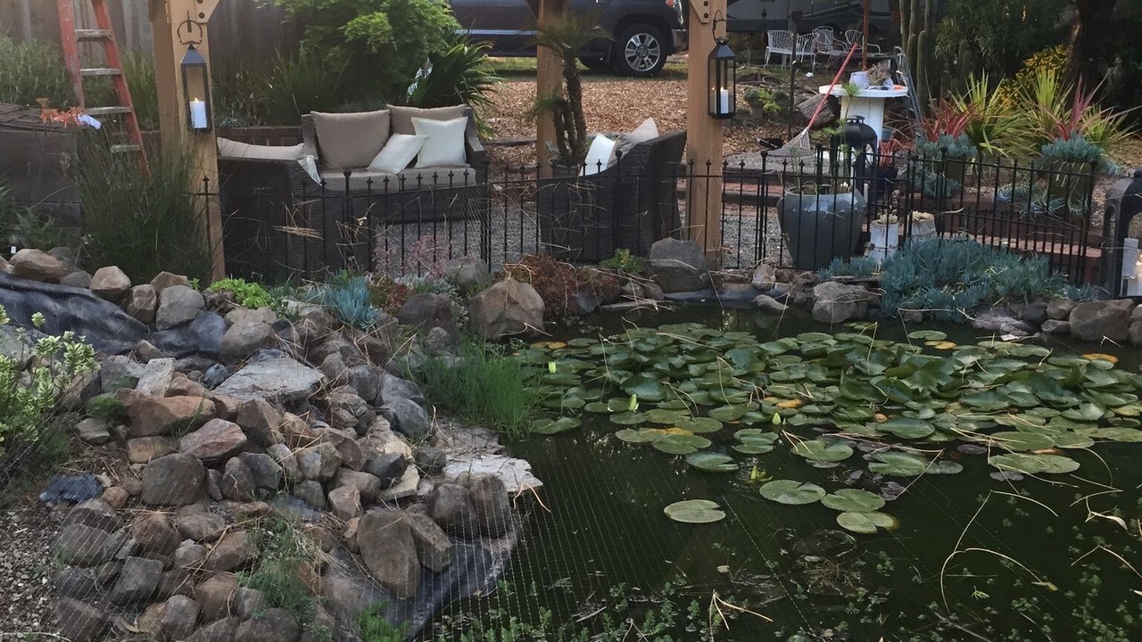 Photo of Outdoor in Petaluma