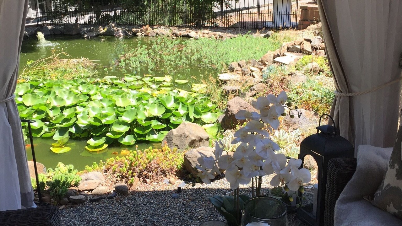 Photo of Patio Balcony in Petaluma