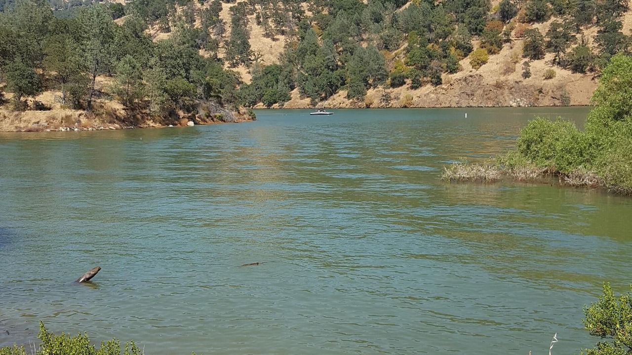 Photo of Others in Loomis