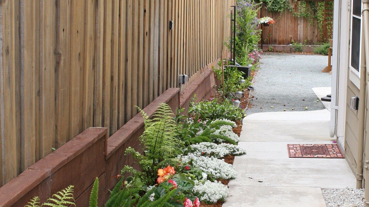 Photo of Outdoor in Elmwood