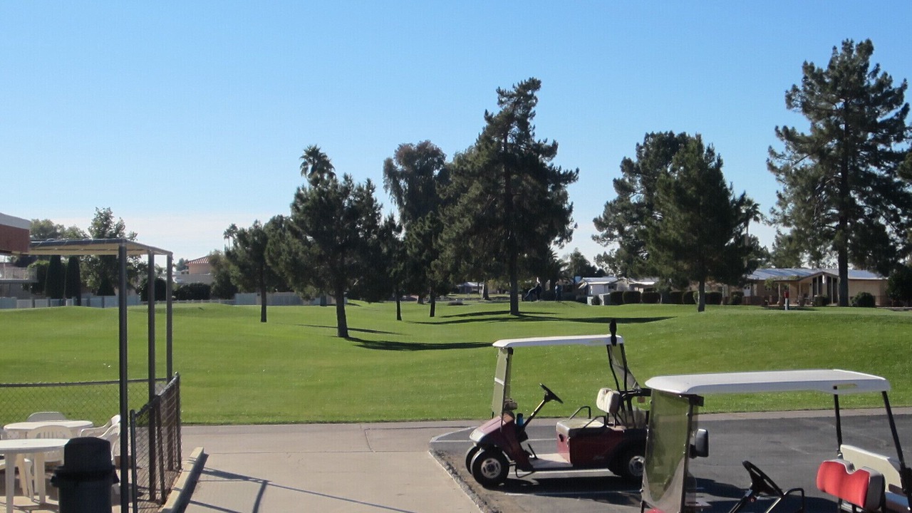 Photo of Others in Chandler
