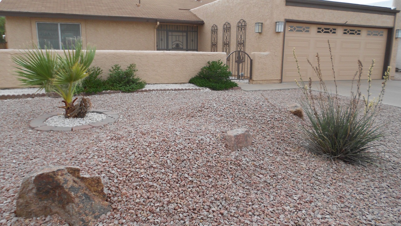 Photo of Others in Chandler