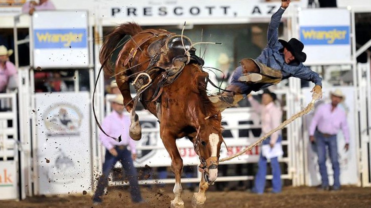 Photo of Others in Prescott