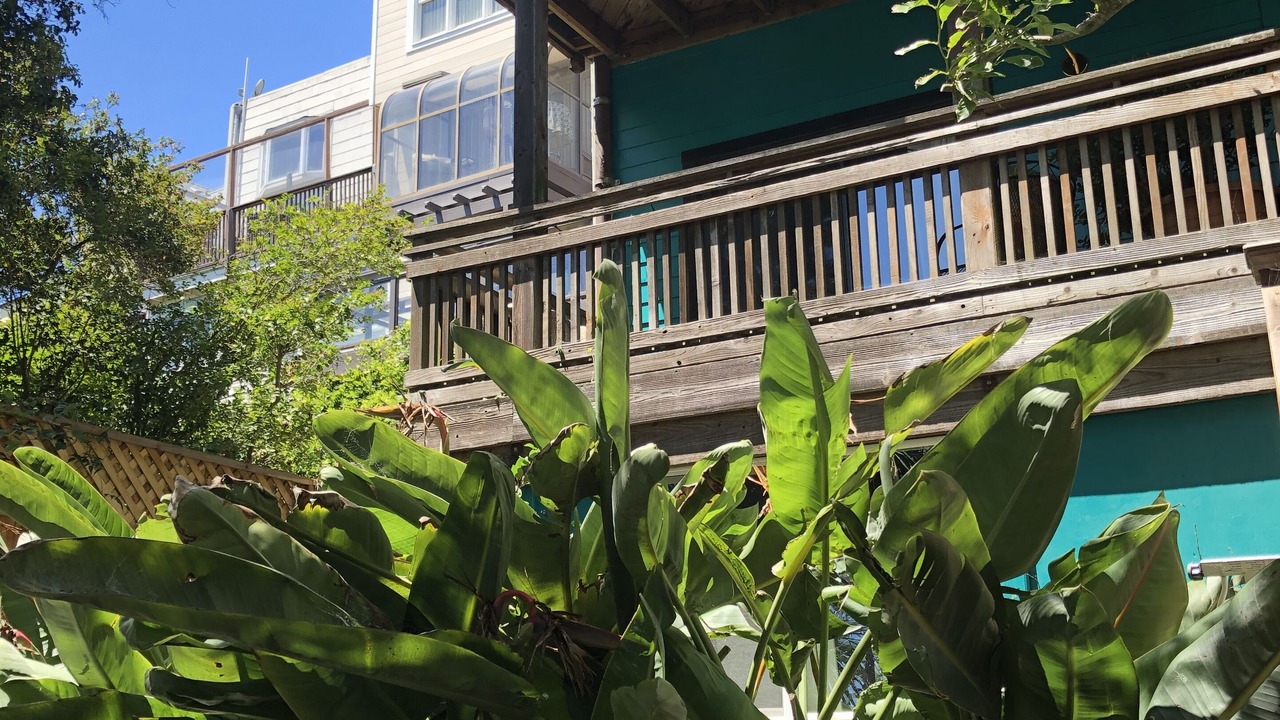 Photo of Outdoor in Corona Heights