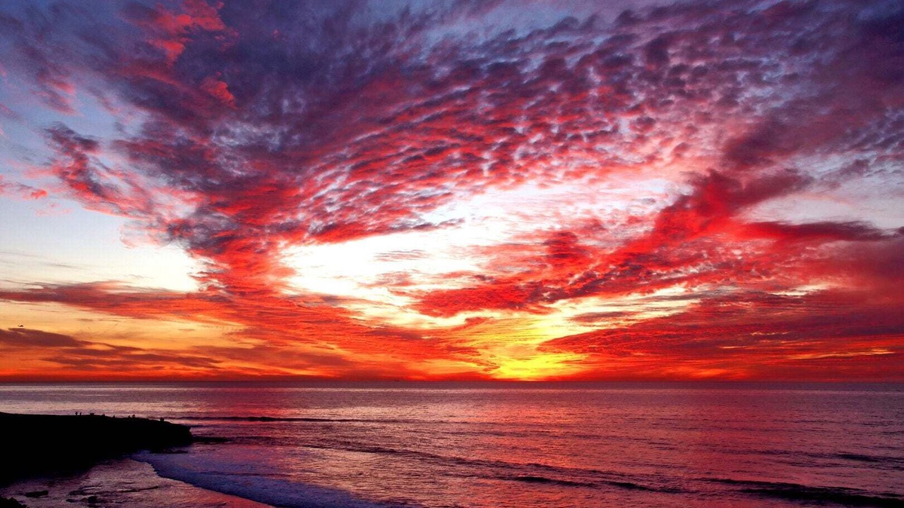Photo of Others in Central Mission Beach