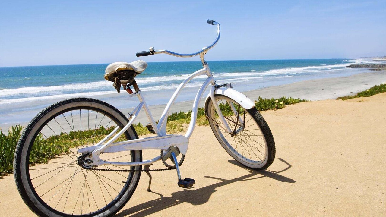 Photo of Others in Central Mission Beach