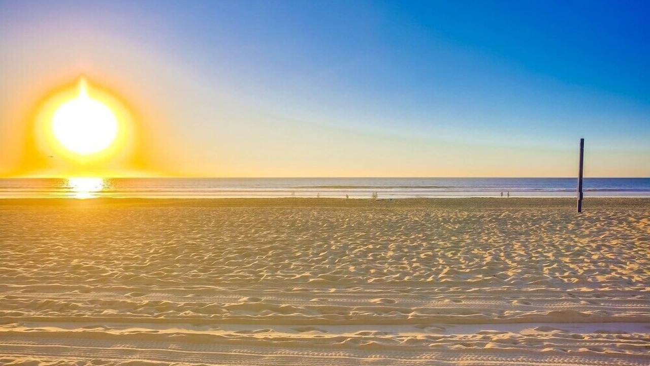 Photo of Others in Central Mission Beach