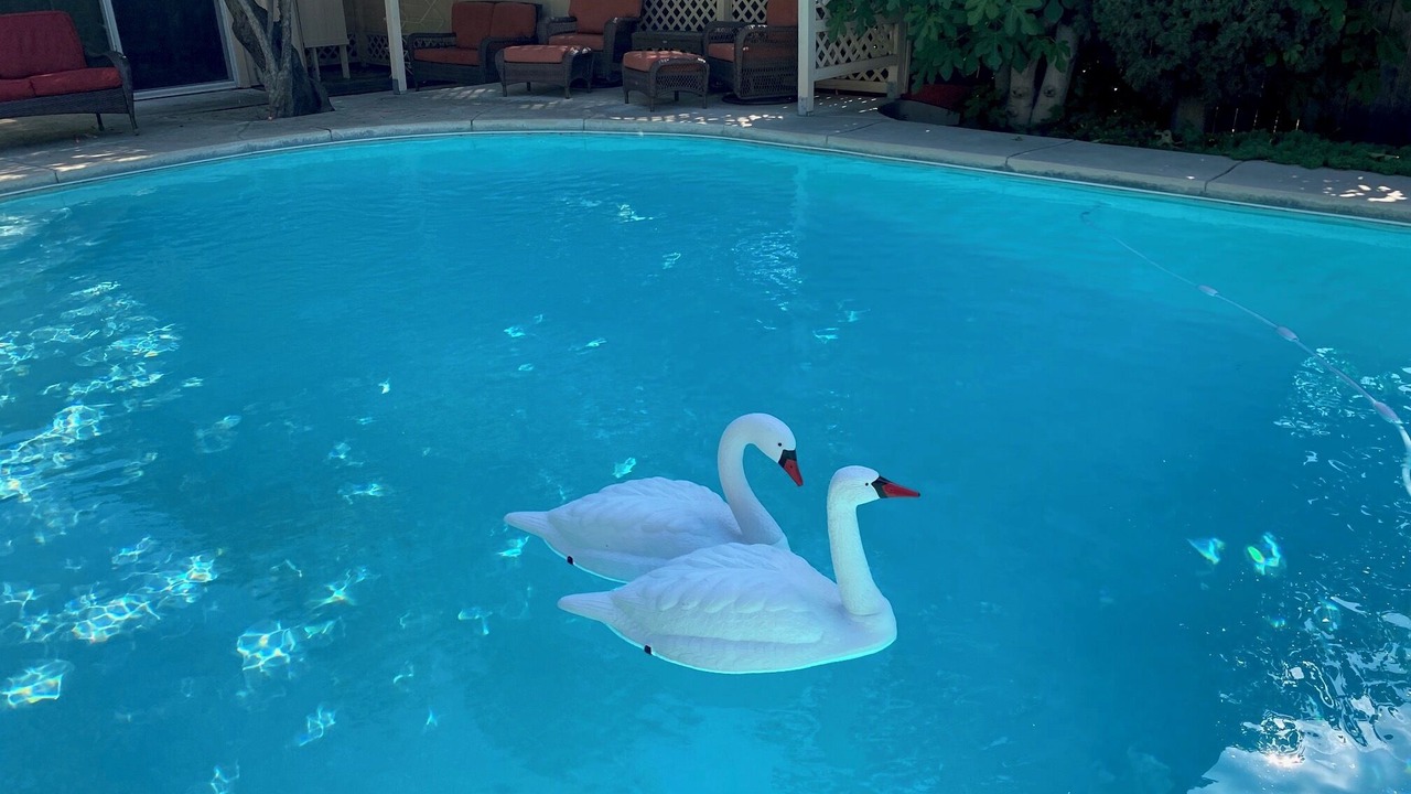 Photo of Outdoor in Fair Oaks