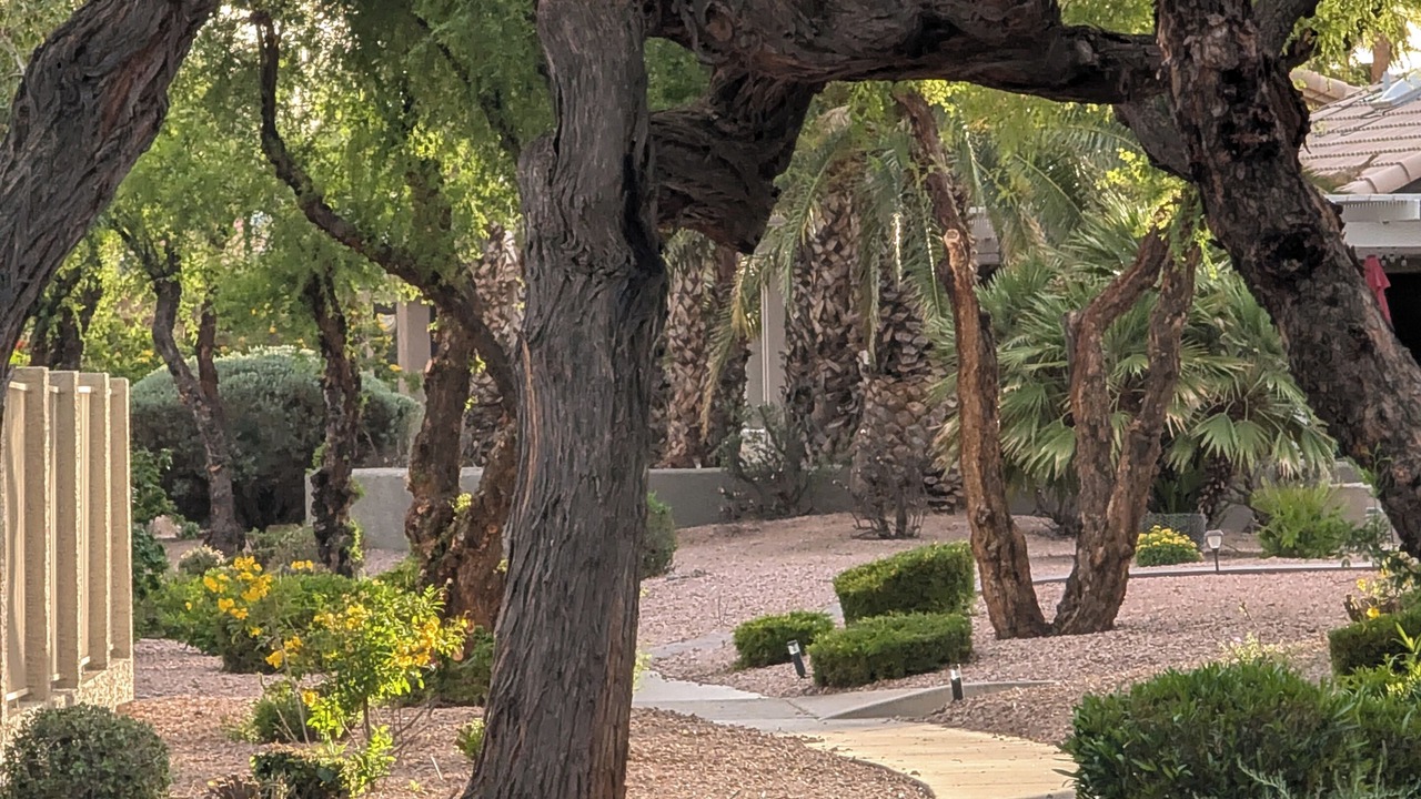 Photo of Outdoor in Oakwood