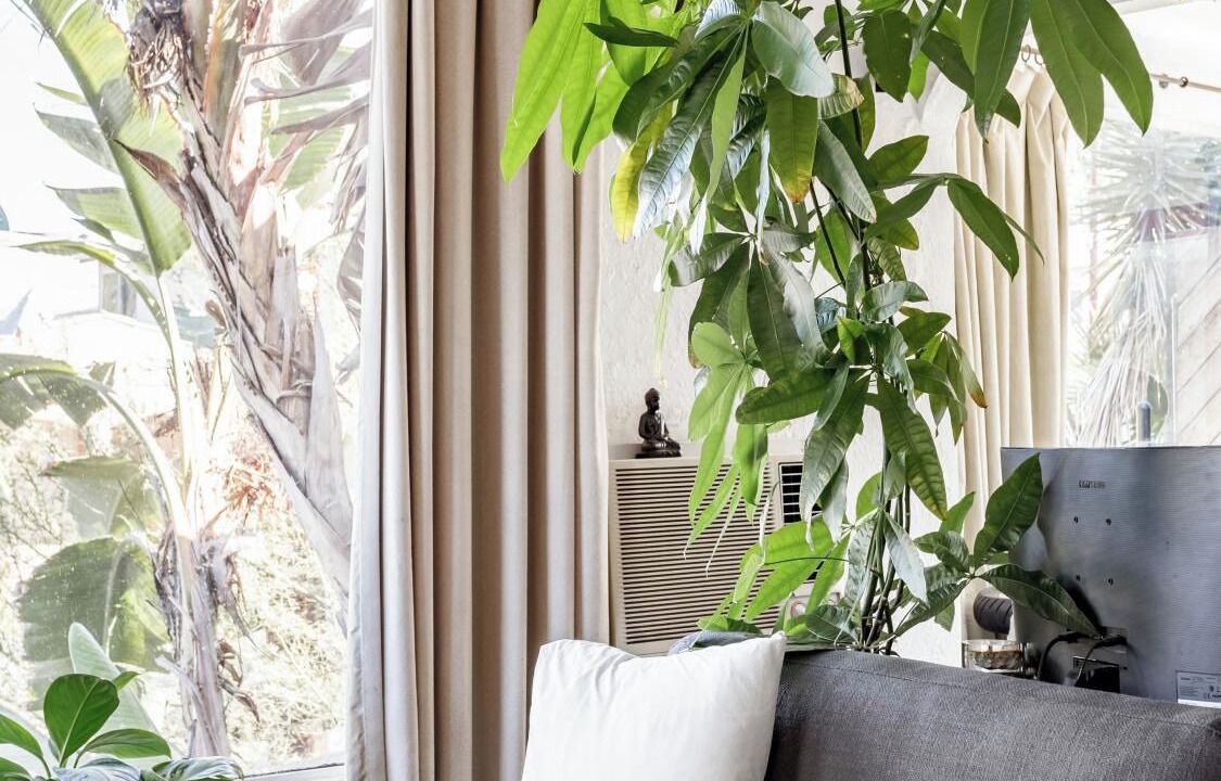 Photo of Livingroom in Silver Lake
