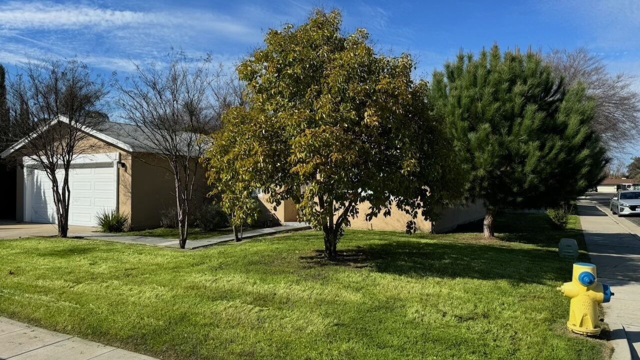 Photo of Outdoor in Clovis